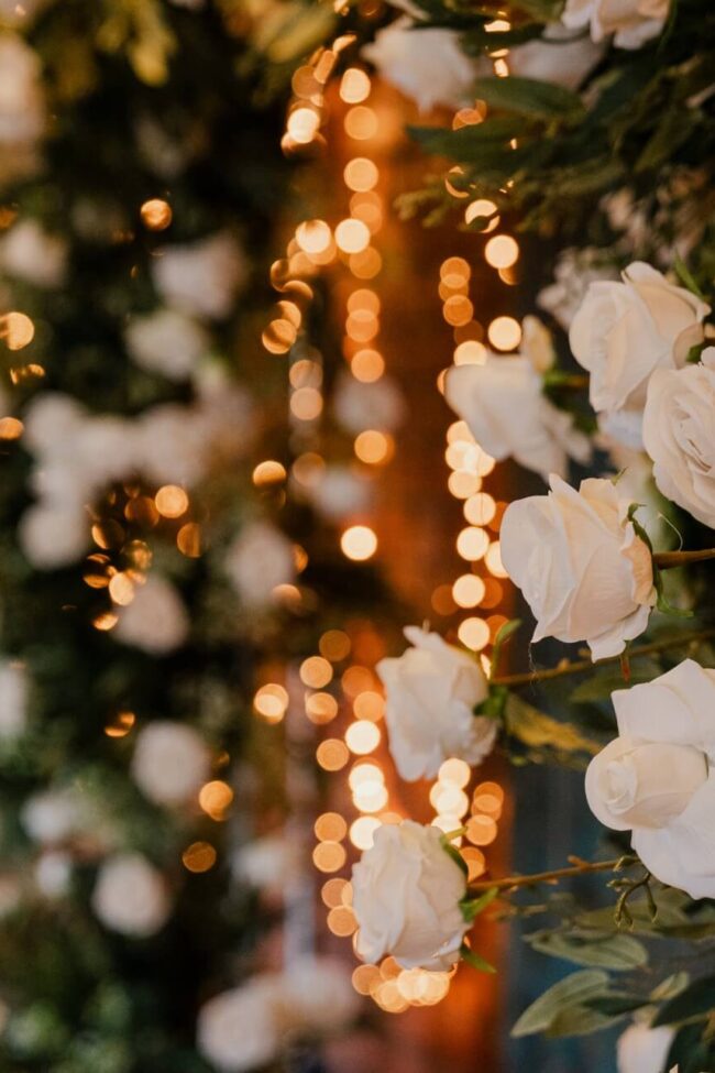 Fairy Lights Hire for Weddings, Receptions & Special Events