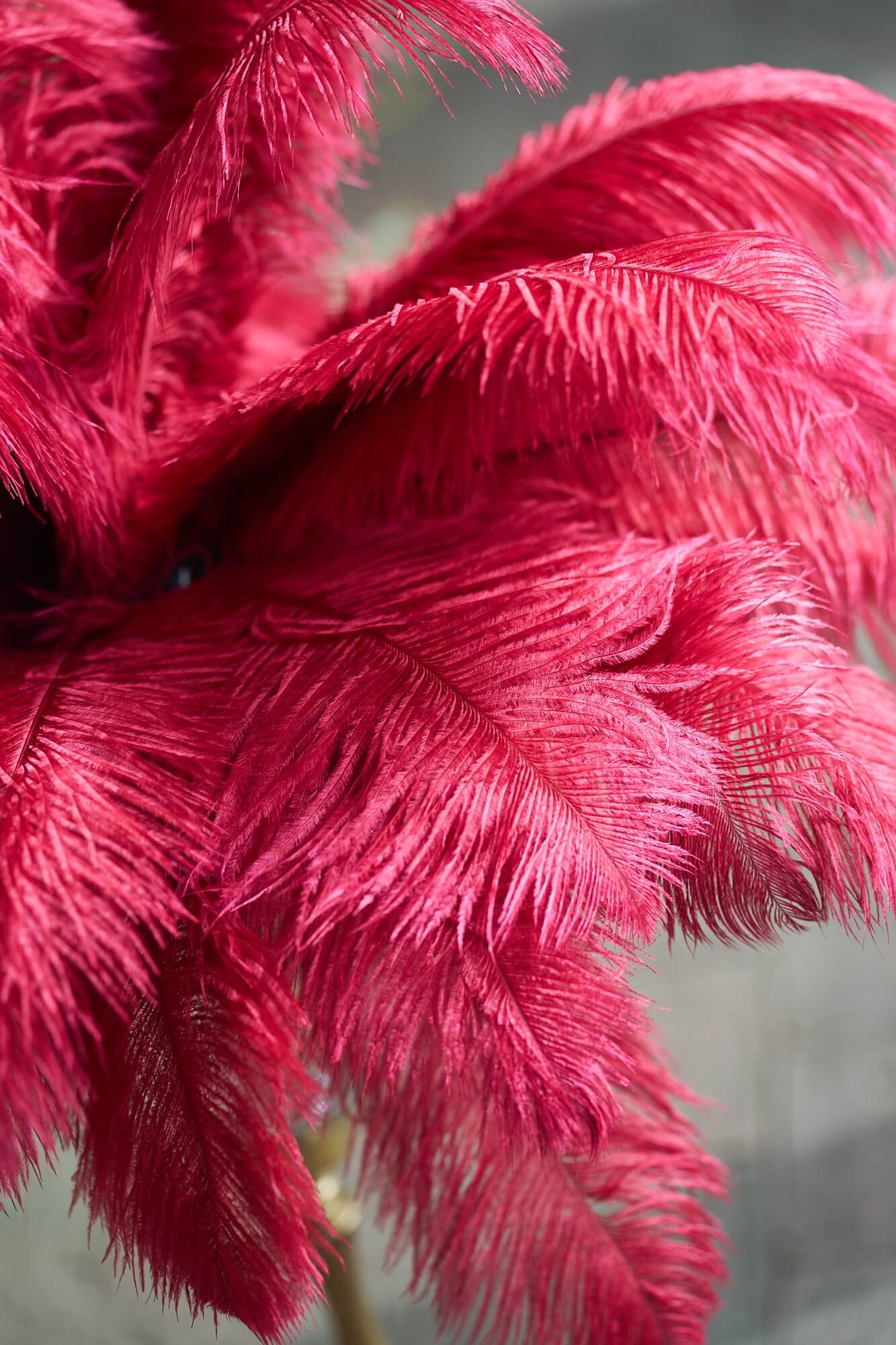 Red Feather Centrepiece – Add Drama to Your Table Decor - Image 4