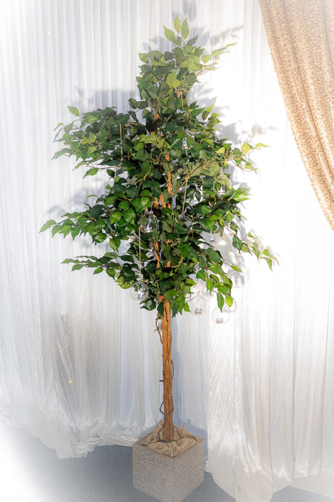 Tall artificial ficus tree centrepiece with leafy branches