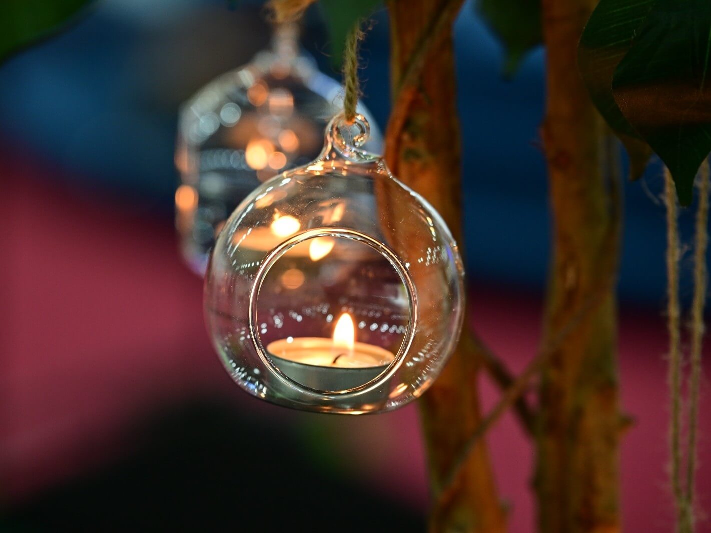 Clear hanging tealight holder suspended from a decorative branch