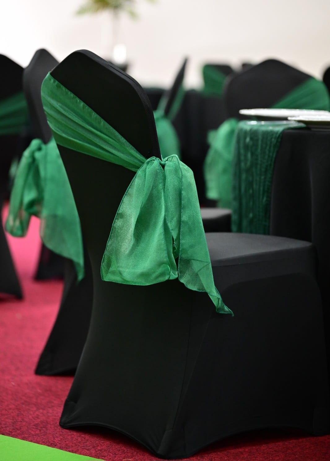 Black chair cover styled with a green sash