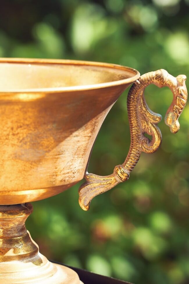 Gold metal flower bowl with ornate handles and wide open rim