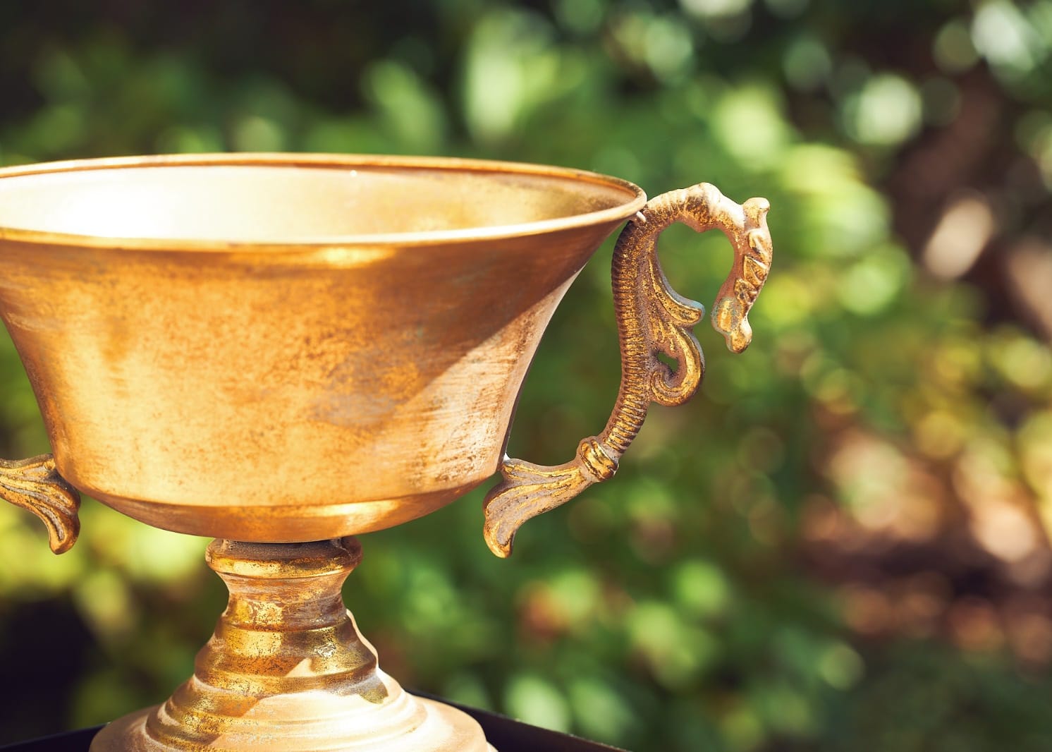 Gold metal flower bowl with ornate handles and wide open rim