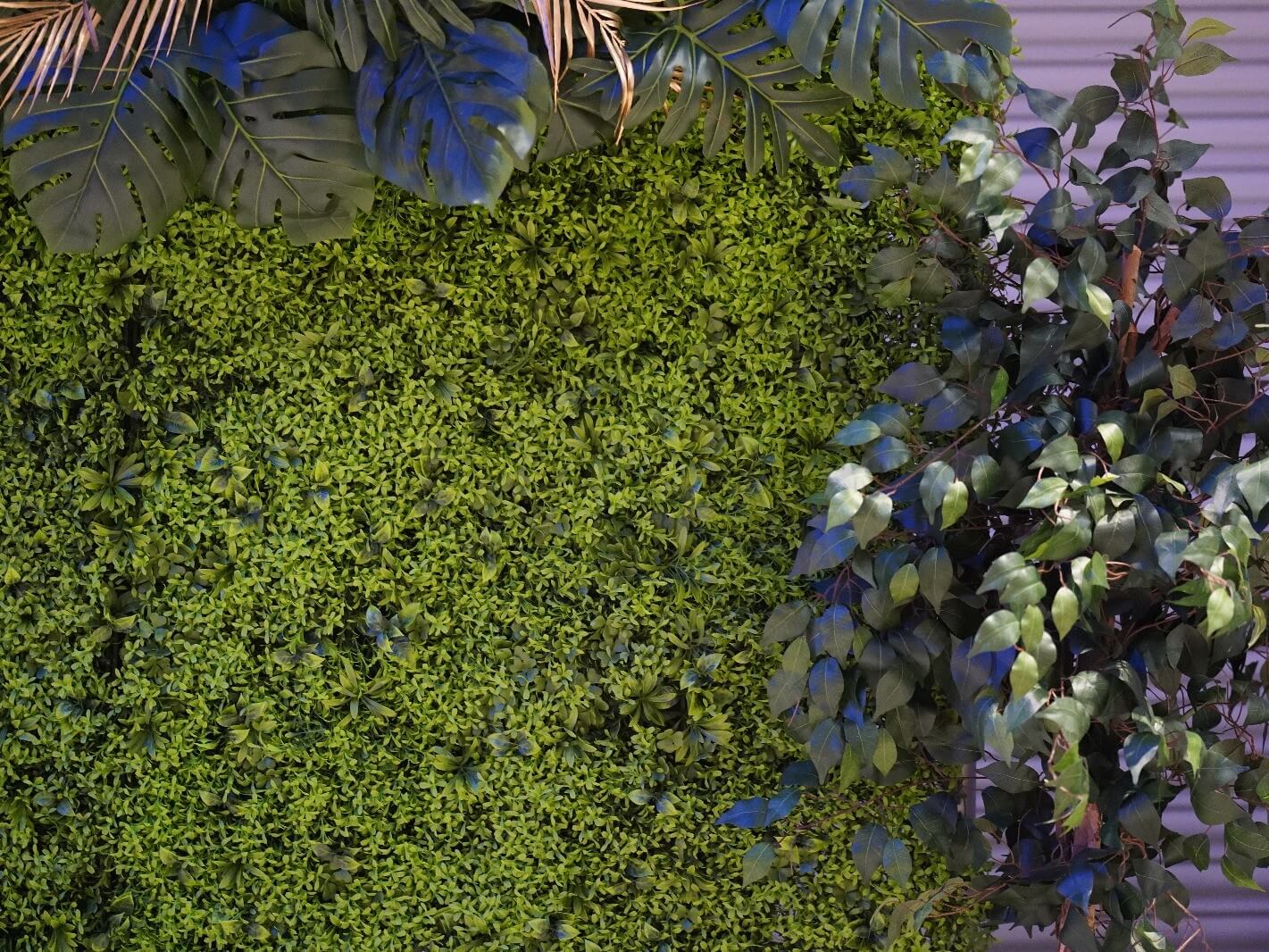 Foliage Wall Hire for Stylish Wedding and Event Backdrops - Image 4