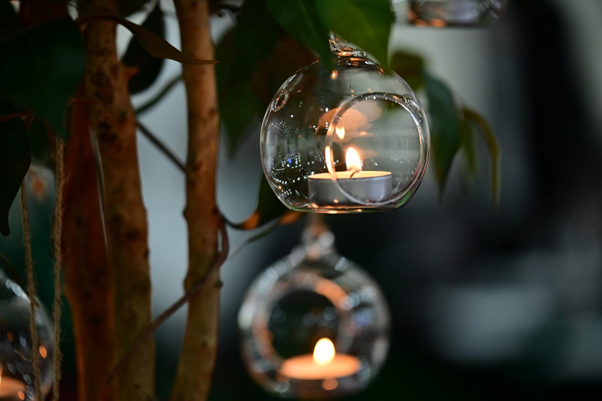 Hanging glass candle holders with tealights glowing among tree branches, offering elegant style inspiration for event décor.