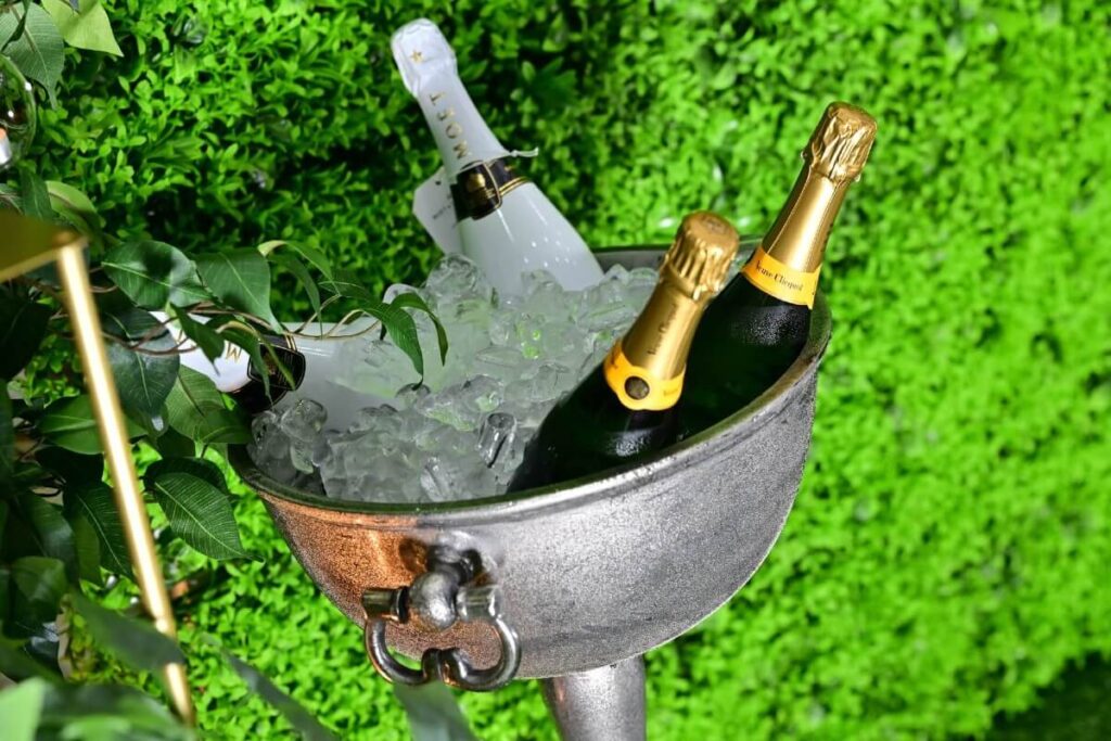 Champagne bottles in an ice bucket against a green backdrop, styled for an event; get in touch for hire.