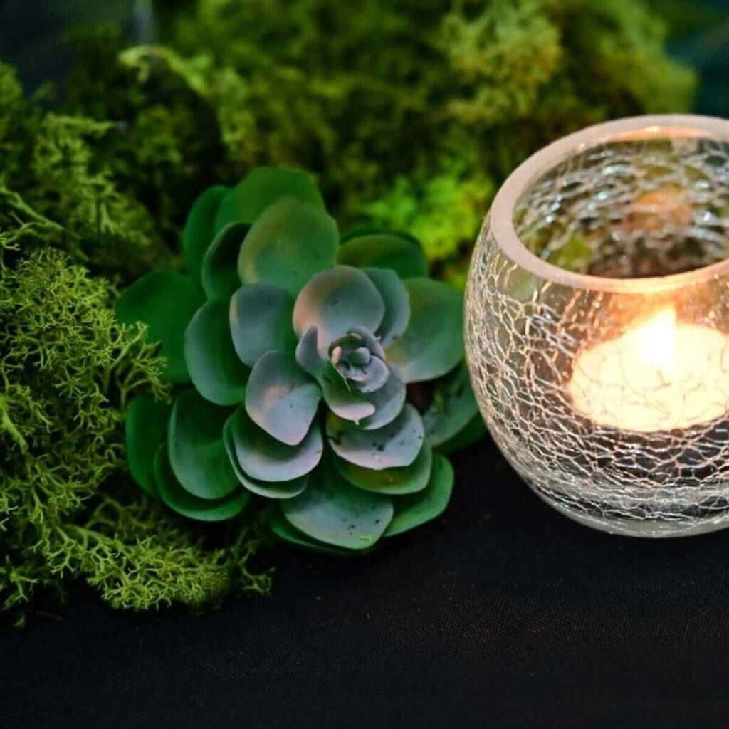 Candle holder with greenery and succulent decor styled for elegant grown up party themes.