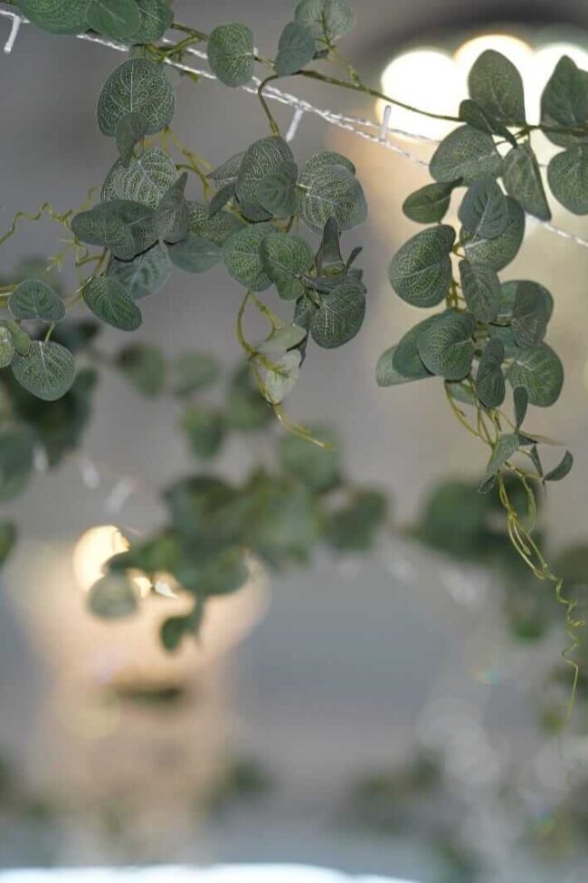 Garland with eucalyptus styled across the ceiling for venue décor