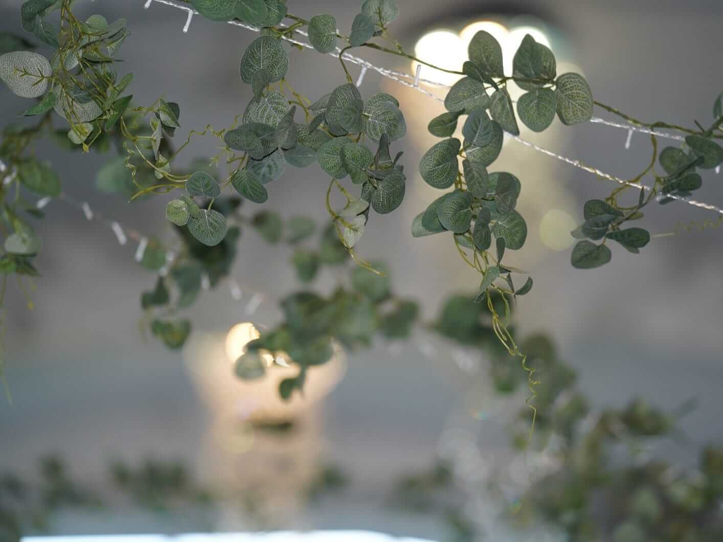Garland with eucalyptus styled across the ceiling for venue décor